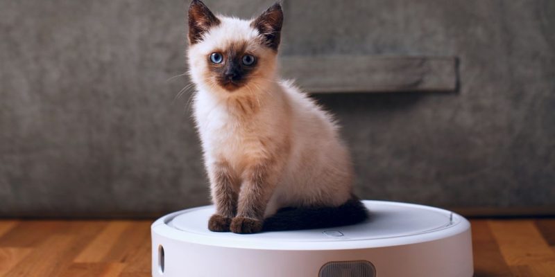 Robot aspirapolvere per animali