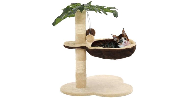 albero tiragraffi gatto