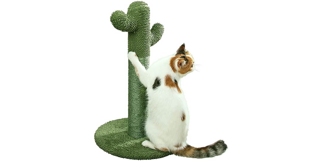 Tiragraffi cactus per gatti: i migliori modelli in offerta