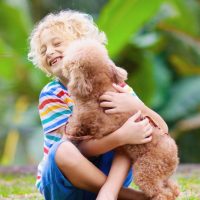 cani per bambini