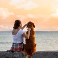 come capire se il cane ti ha scelto come padrone