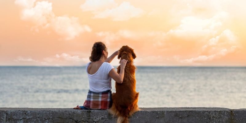 come capire se il cane ti ha scelto come padrone