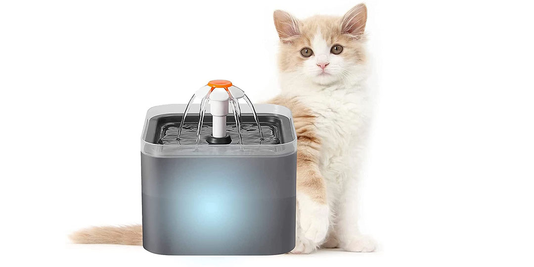 Fontanella per gatti a batteria in offerta: i migliori modelli