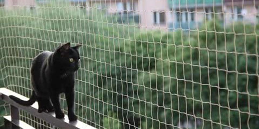 messa in sicurezza balconi per gatti