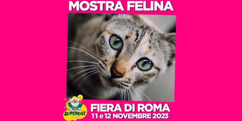 mostra felina roma supercat show 2023