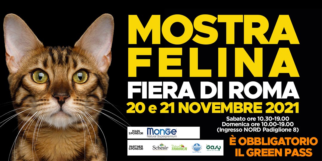 mostra felina roma