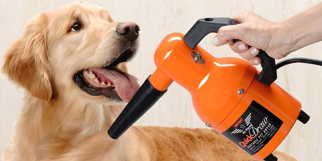 Soffiatore per cani al miglior prezzo: consigli su come asciugarlo