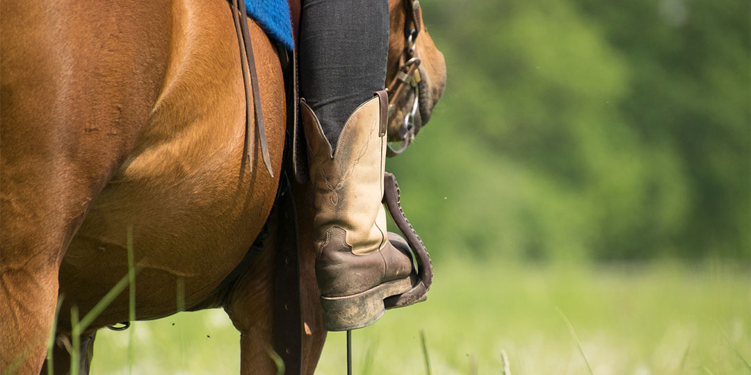 I migliori stivali da equitazione: come scegliere?